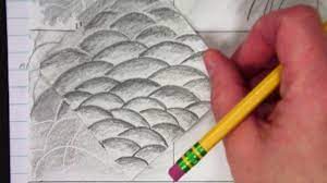 No subject is beyond an artist's rendering if they have the. Pencil Drawing Textures Scales Youtube
