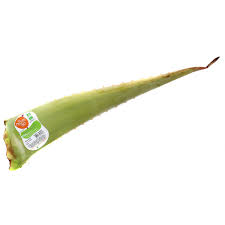 Cherche feuilles fraiches d'aloé vera vendredi 6 mars 2009 16:29:33 bonjour, j'ai des aloe pour. Livraison A Domicile Les Paysans Bio Aloe Vera Bio 1 Feuille