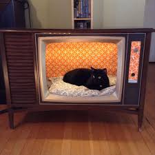 Cara membuat kucing nyaman di dalam kandang. 12 Tempat Tidur Kucing Ini Buktikan Kalau Pemiliknya Kreatif Bikin Dari Barang Bekas Gokil