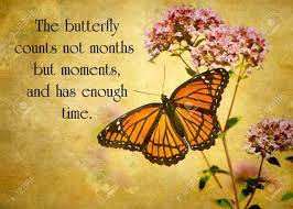 The intoxicating scent of flowers never fails to delight me. 19 Inspirational Quotes And Butterflies Brian Quote