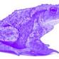 TOAD RACES — Point Lookout Bowls Club event image