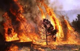Mais de 90 concelhos de 10 distritos do continente em risco máximo. Mais De 145 Operacionais E Tres Meios Aereos Combatem Fogo Em Castro Marim Postal Do Algarve