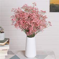 We do our best to keep stock list current and updated, however, we will advise you if we cannot fulfill your order and if possible will offer substitutes. Dried Flowers Wholesale Preserved Flower Arrangement Pink Preserved Baby S Breath Buy Baby S Breath Dried Flowers Preserved Flower Arrangement Product On Alibaba Com