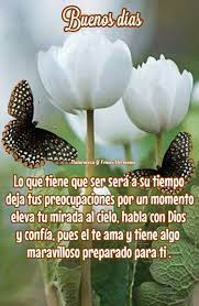 Pin By Hilda Sanjurjo On Naturaleza Y Frases Hermosas Birthday Songs Plants Spanish Quotes