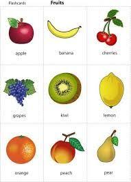 صور للخضروات بصلمع كتابة الاسم عربي وانجليزي بحث Google Meyve Tombala Ingilizce