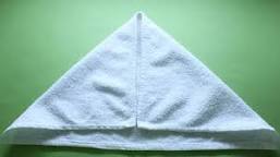Image result for towel folding swan steps