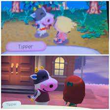 Maybe you would like to learn more about one of these? Tipper And I Have Grown Old Together Animalcrossing