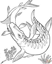 This article is about the genus mosasaurus, not to be confused with the mosasaurs, the family with the same name to which mosasaurus belongs to. Kronosaurus Dinosaur Coloring Pages Dinosaur Coloring Pages Jurassic World Coloring Pages Animal Coloring Pages