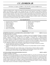 professional enterprise architect
