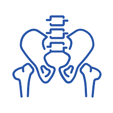 Image result for Pelvic Floor Dysfunction