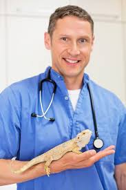 All pets veterinary wellness & spay/neuter clinic in state college, pa is your neighborhood veterinary clinic offering affordable wellness care and services to pets and their owners. Pennsylvania Exotics Veterinarians