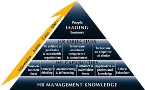 What Are The Most Interesting Things I Can Do While Working As A Human Resource Manager Resource Management Human Resource Management Human Resources