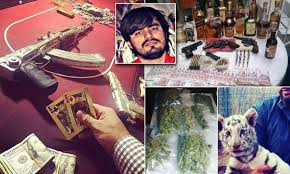 According to a press release, emma coronel aispuro was apprehended at dulles international airport. Son Of Top Mexican Cartel Member Documented On Instagram Daily Mail Online