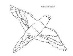 Some rainbow lorikeet coloring may be available for free. Pin On Coloring Pages