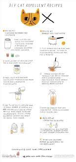 Diy Cat Repellent Spray 3 All Natural Recipes That Are Safe For Indoor Outdoor Cats Via The Secret Yumiverse Cat Repellant Cat Diy Cat Spray