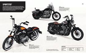 Image result for Vivid Black 1994 FXSTS