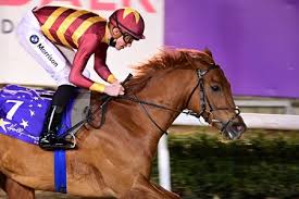 The road to the 147th kentucky derby goes through these important prep races. My Generation Wins Irish Kentucky Derby Prep Bloodhorse