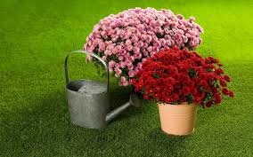 Customer service is amazing and always willing to do additional services when requests.i would recommend ultimate lawn care to anyone who wants their lawn truly cared for. 3 Lawn Care Expenses Eliminated By The Best Artificial Turf In Vacaville