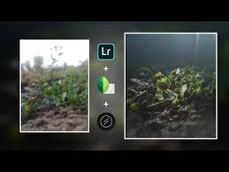 Lens distortions v4.9.0 apk + mod (paid unlocked). Video Lens Distortion