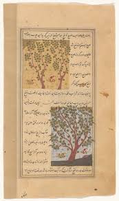 Wood Of Cross Favaniya Top Pepper Tree Filfil Bottom Nypl Digital Collections In 2020 Pepper Tree New York Public Library Library Locations