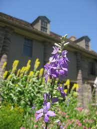 Bartram S Garden 18th Century Home Of John Bartram Naturalist Botanist Ex Botanical Gardens Plant Pictures Garden