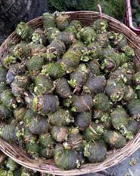 Clear instruction and official deletion page link. The Remarkable Floating Gardens Of Bangladesh Bbc Future