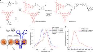 We did not find results for: Design Synthesis And Fluorogenicity Of Gemini 561 A Synthesis Of Download Scientific Diagram