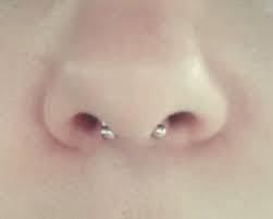 Septum Piercings Septum Piercing Cool Piercings