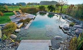 Schwimmteich Schwimmteich Anlegen Schwimmteich Naturschwimmbecken