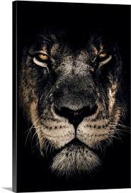 Dark Lion Closeup In 2020 Lion Images Lion Pictures Lion Photography Il y a un an. lion images lion pictures
