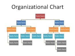 organizational chart template 19 education