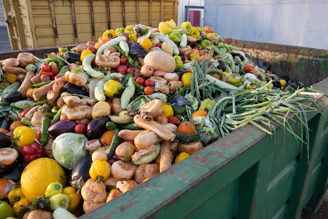 How We Waste Food and What We Can Change – All about Food Waste - CENN -  Shaping The Future By Changing Today