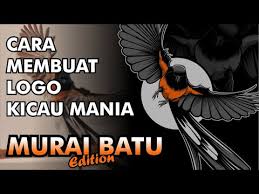 Selain memnyedialan masteran kicau,ari alika kicauan juga sering loh kepoin dan silaturahmi ke para kicau mania. 26 Gambar Logo Burung Kicau Terbaru Lingkar Png