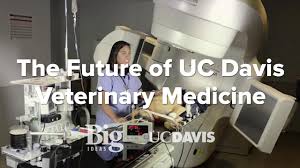 Follow the directions below to the hospital, which is located in the health sciences district of campus just south of the football stadium. Uc Davis Veterinary Medicine Coupon Code 07 2021