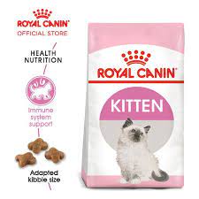 Sama halnya dengan manusia, kucing ini juga memerlukan makanan dengan kandungan nutrisi yang seimbang di dalamnya. Royal Canin Kitten Makanan Anak Kucing Dry 2kg Shopee Indonesia