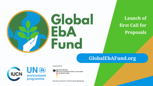 Öğrencilerin bu pandemi döneminde yaşayacakları boşluğu ve. Global Eba Fund Startet Ersten Call Internationale Klimaschutzinitiative Iki