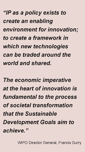 The Impact Of Innovation Wipo And The Sustainable