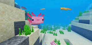 Published sep 27th, 2 months ago. Axolotls Add On Minecraft Pe Mods Addons