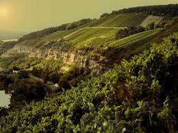 Die fränkische stadt würzburg und ihre umgebung sind bekannt für ihre idyllischen weinberge. Startseite Weingut Am Stein