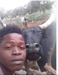 Lunda/Luvale/Lozi vs. Tonga/Illa/Lenje/Kaonde/Lamba-Tribal cousin jokes