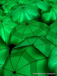 Pin On Glamorous Green