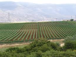 We did not find results for: Oinopoieio Stis Afidnes Bakirtzh