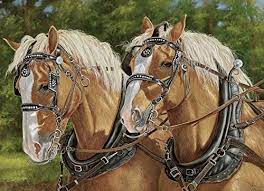 Check spelling or type a new query. Horse Jigsaw Puzzles That Will Absolutely Capture Your Imagination