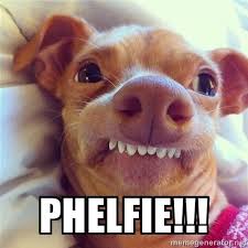 The Funniest Websites Pages In The World Wdb Es Funny Pictures Funny Tuna Dog