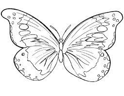 Dibujos De Mariposas Para Colorear Para Ninos 1 Moldes De Mariposas Mariposas Para Colorear Dibujos Para Colorear Mariposas
