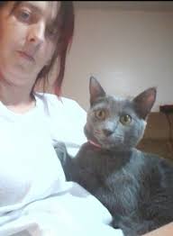 Tribute to a loyal pet cat, Delilah