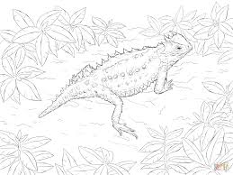 Arizona Lizard Black And White Tail Desert Horned Lizard Free Printable Coloring Pages Coloring Pages Printable Coloring Pages