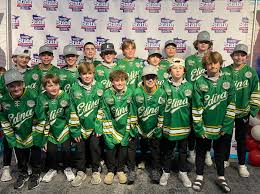 Edina Hockey Association 🐝 (@edinahockey)