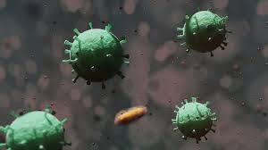Quarantane Trotz Negativem Corona Test Rechtslupe