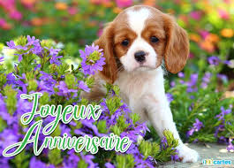 Carte joyeux anniversaire avec l'illustration d'un petit chien portant un chapeau pointu d'anniversaire. Chien Cavalier King Charles Spaniel Carte Virtuelle Anniversaire 123cartes